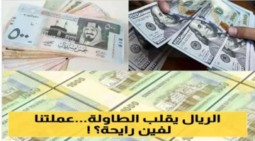 الريال اليمني يحقق ارتفاعًا غير متوقع يعيد الحياة لسعر الصرف ويثير علامات استفهام